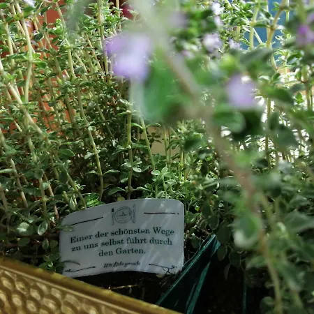 Hotel Seehotel Gruener Baum Hallstatt