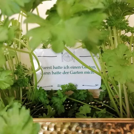 Отель Seehotel Gruener Baum