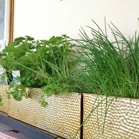 Seehotel Gruener Baum Hotel 4*