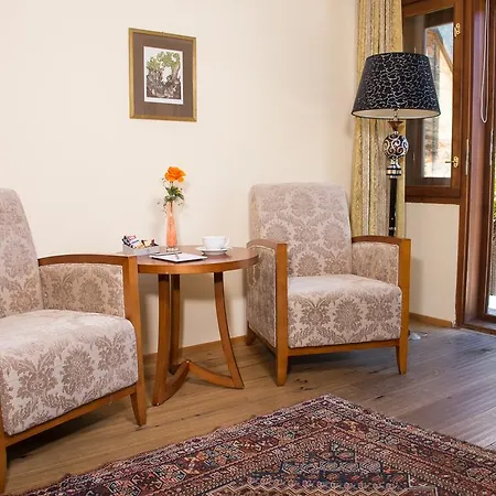 Seehotel Gruener Baum Отель