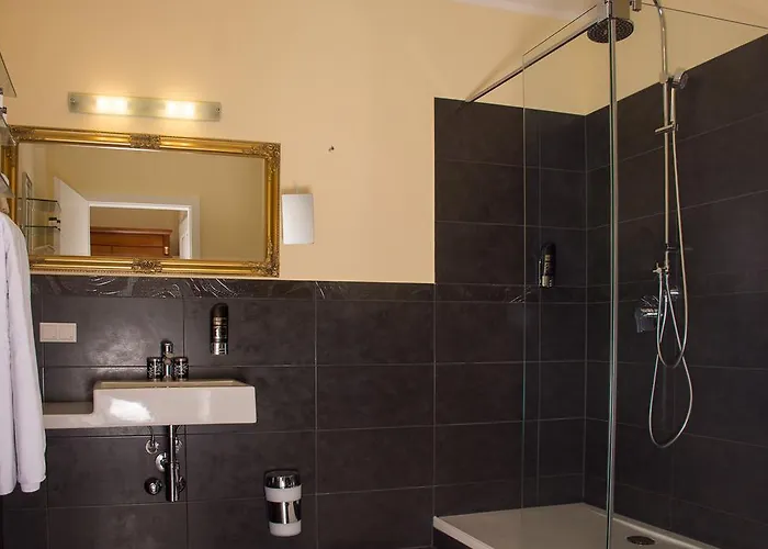 Otel Seehotel Gruener Baum 4*