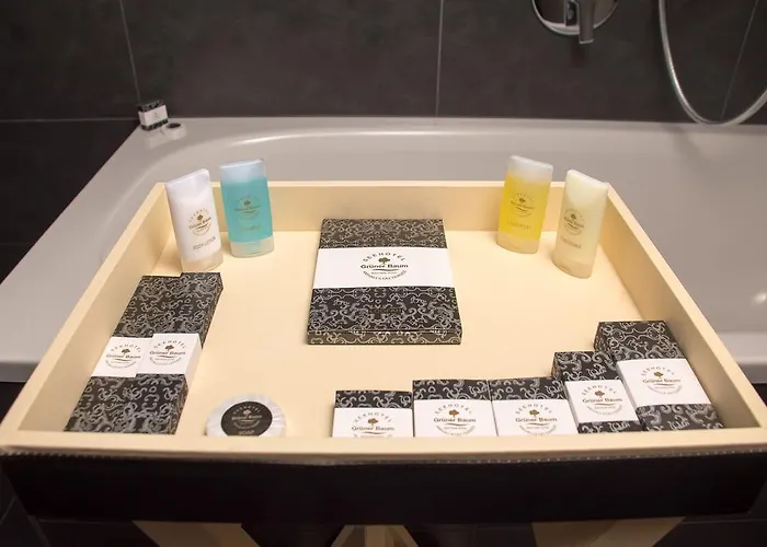 Seehotel Gruener Baum Ξενοδοχείο Χάλστατ