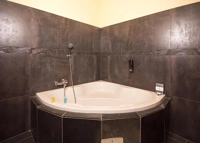 Seehotel Gruener Baum Ξενοδοχείο Χάλστατ