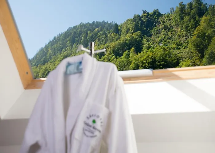 Seehotel Gruener Baum Ξενοδοχείο