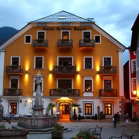 Hotel Seehotel Gruener Baum